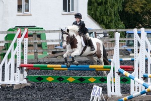 Class 5 - Fences not above 2'6